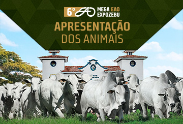 APRESENTAÇÃO DOS ANIMAIS -  6º MEGA EAO EXPOZEBU